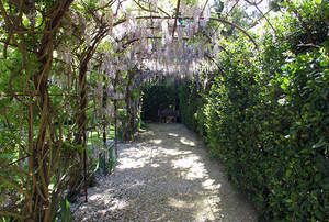 Anne's Garden